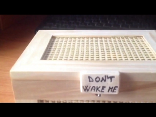 don't wake me