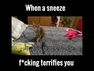 when a sneeze fcking terrifies you